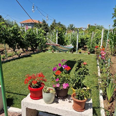 Casa Simona Otel Două Mai Dış mekan fotoğraf