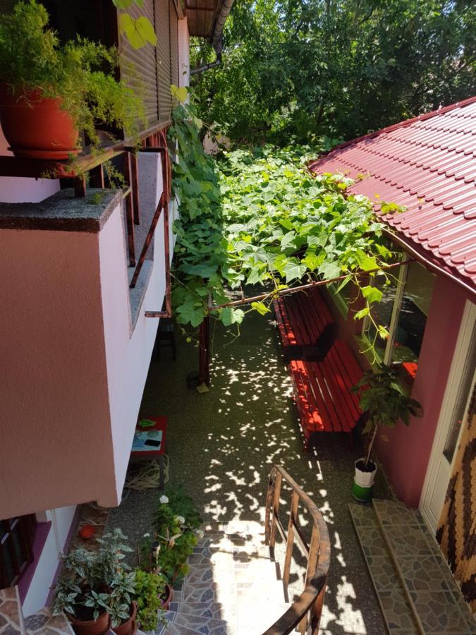 Casa Simona Otel Două Mai Dış mekan fotoğraf