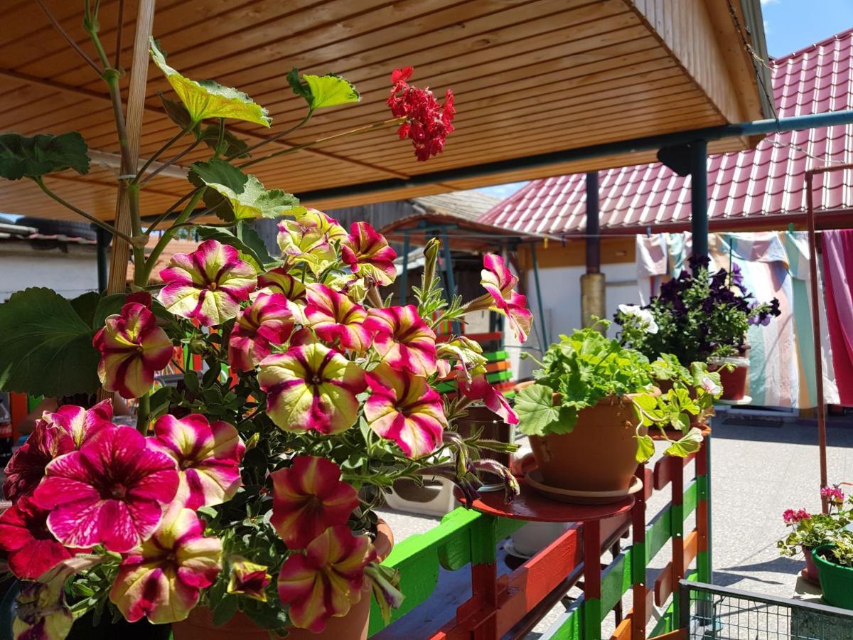 Casa Simona Otel Două Mai Dış mekan fotoğraf