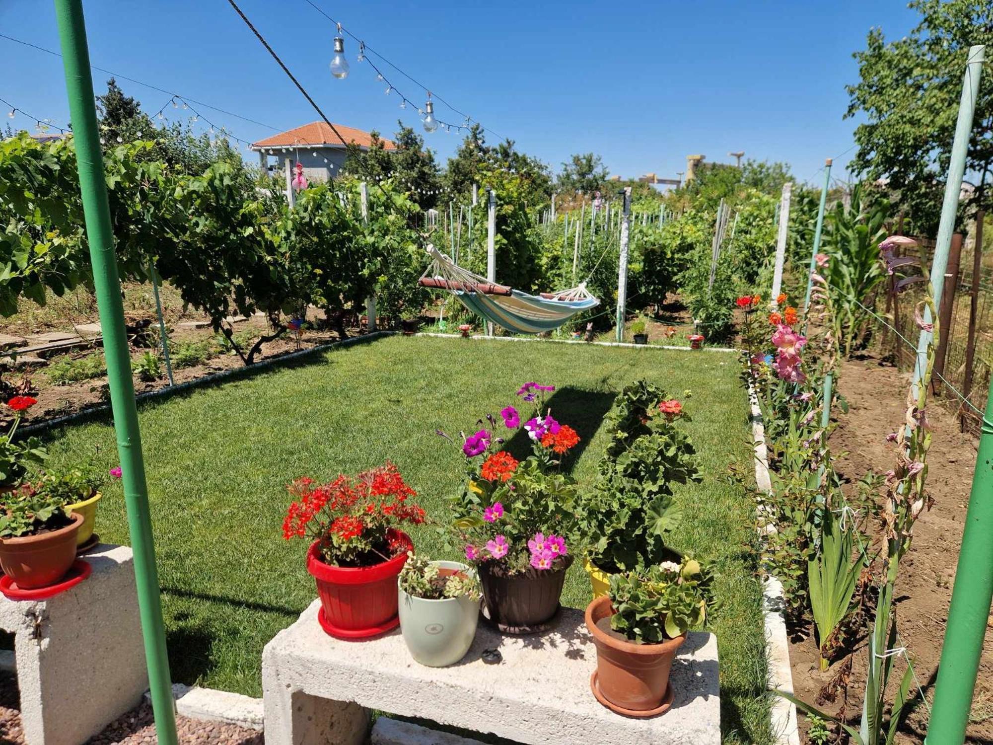 Casa Simona Otel Două Mai Dış mekan fotoğraf